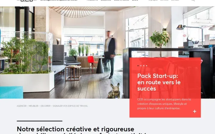 Aperçu du projet ceb.fr