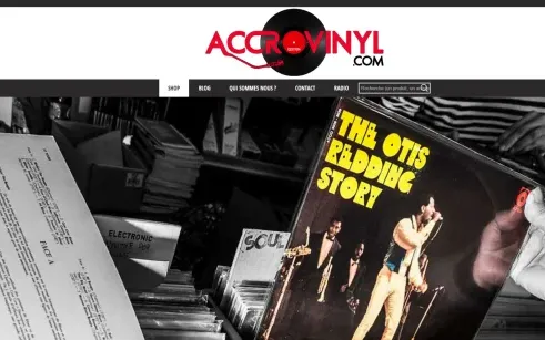 Aperçu du projet accrovinyl.com