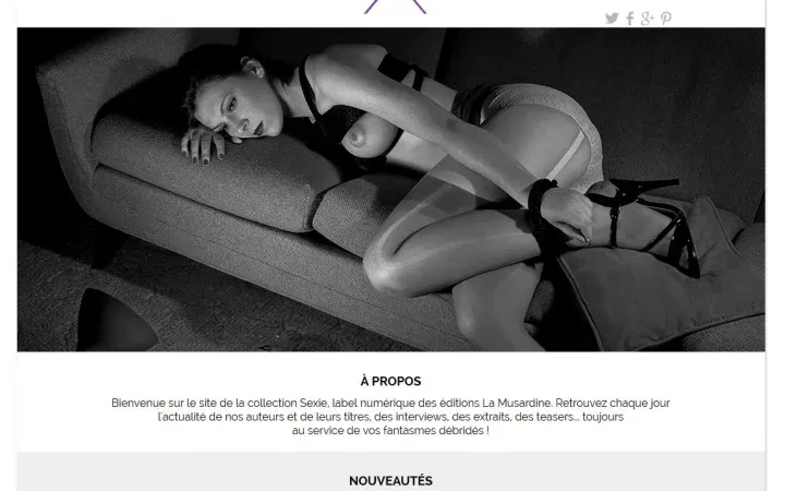 Aperçu du projet sexie-musardine.com