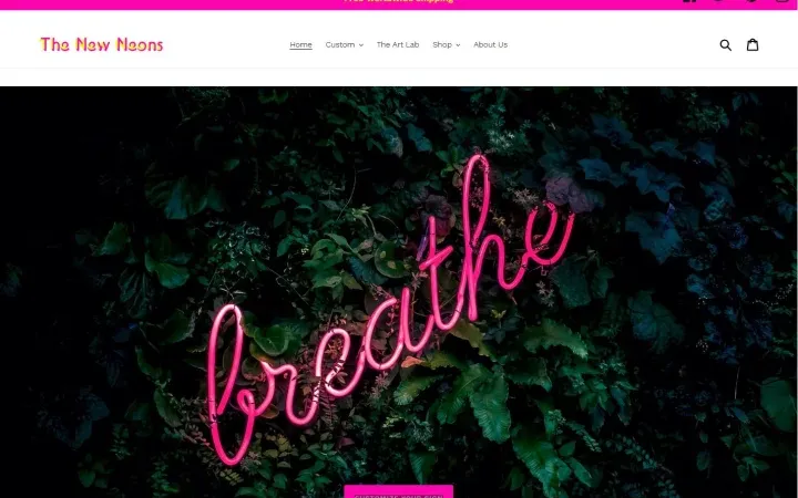 Aperçu du projet thenewsneons.com